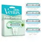 CARGA GILLETTE VENUS PELE SENSIVEL 4 UNIDADES