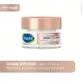CETAPHIL HEALTHY RENEW CREME NOTURNO 50G