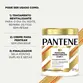 MÁSCARA PANTENE MANUTENÇÃO 3 EM 1 550ML